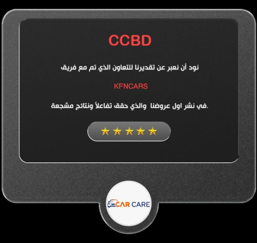 Customer Review 3